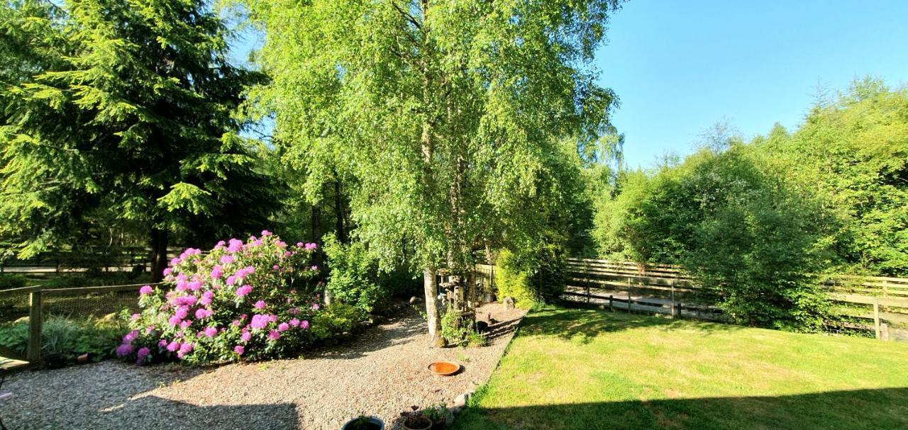 Torcroft Lodges Drumnadrochit Exteriér fotografie