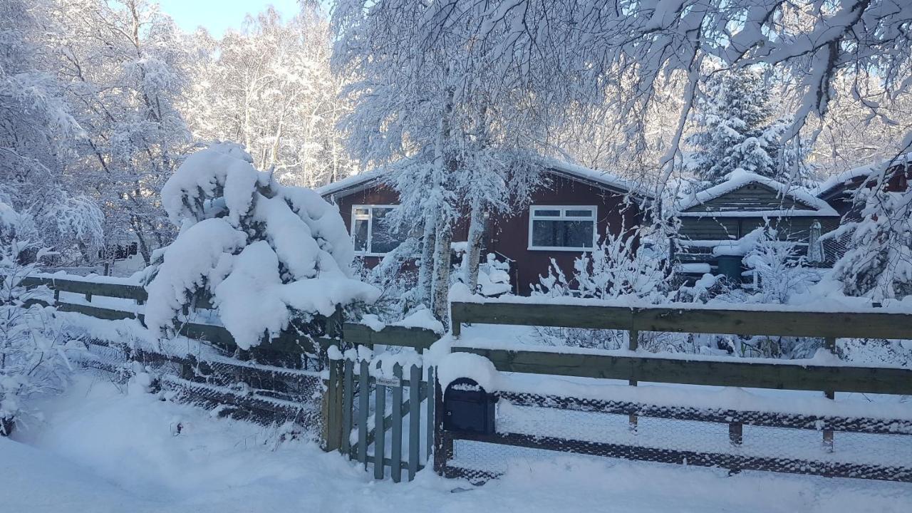 Torcroft Lodges Drumnadrochit Exteriér fotografie