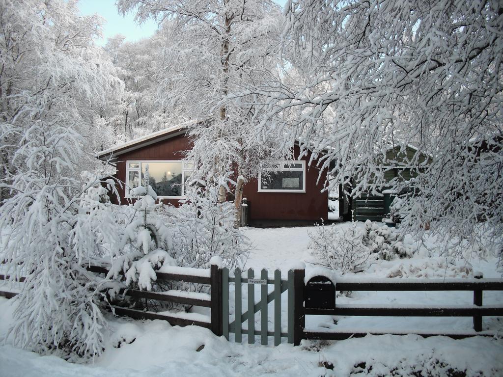 Torcroft Lodges Drumnadrochit Pokoj fotografie